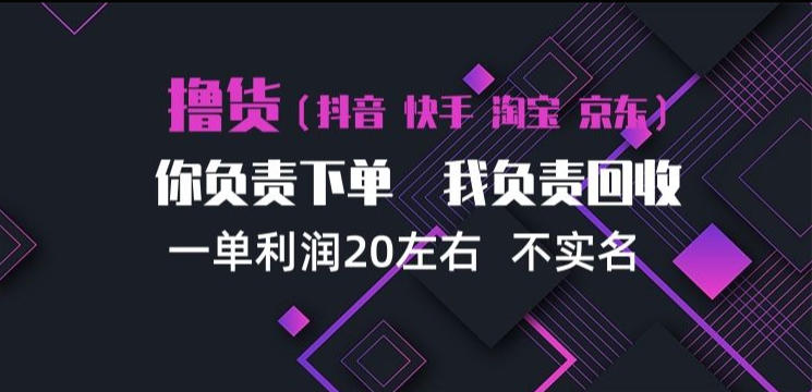 抖音淘宝快手买手项目:我出回收渠道,你下单赚差价
